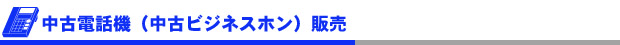 Ãæ¸ÅÅÅÏõ¡¡ÊÃæ¸Å¥Ó¥¸¥Í¥¹¥Û¥ó¡ËÈÎÇä