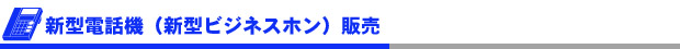 Ãæ¸ÅÅÅÏõ¡¡ÊÃæ¸Å¥Ó¥¸¥Í¥¹¥Û¥ó¡ËÈÎÇä